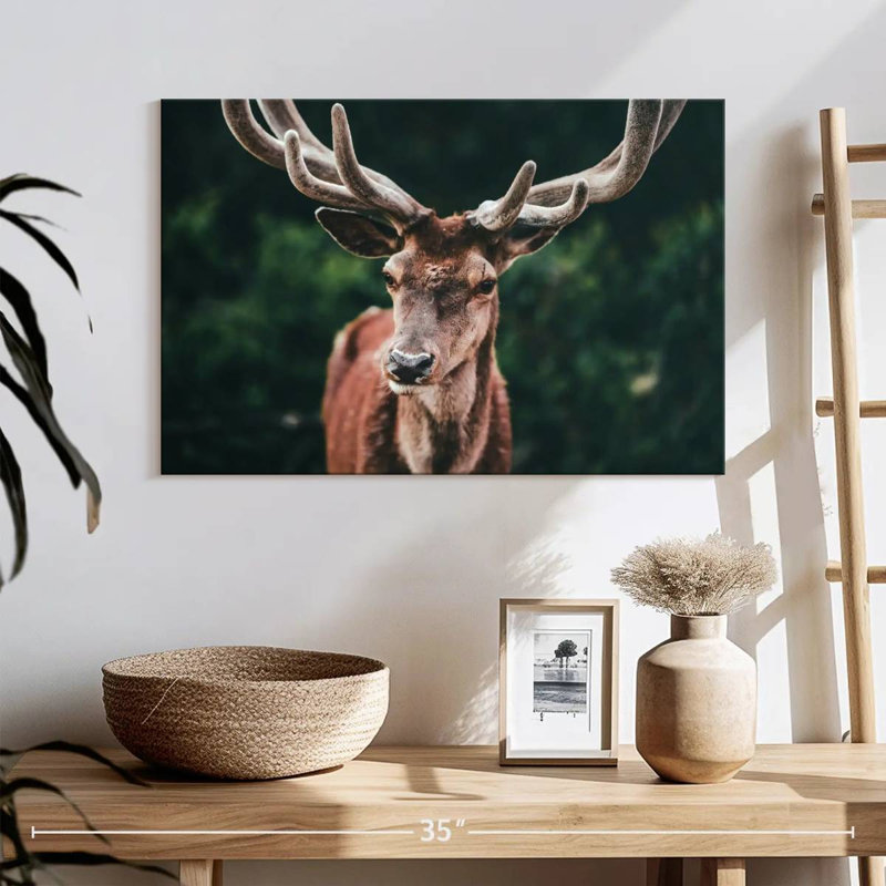Majestic Red Deer, 16" H x 24" W