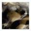 Screen SIren by Olivia Collins - Painting on Canvas-88972607-88972608