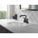 SAYLOR™ Two Handle Centerset Bathroom Faucet