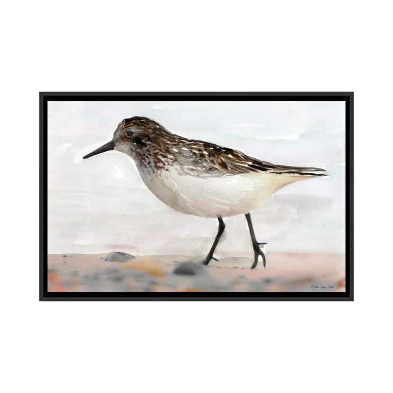 Sandpiper II by Stellar Design Studio - Painting on Canvas, Black Floater Frame, 66.04 cm H x 45.72 cm W