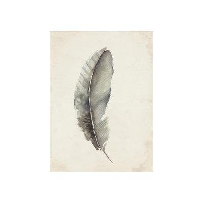 Charcoal Feathers III Print by Beverly Fuller