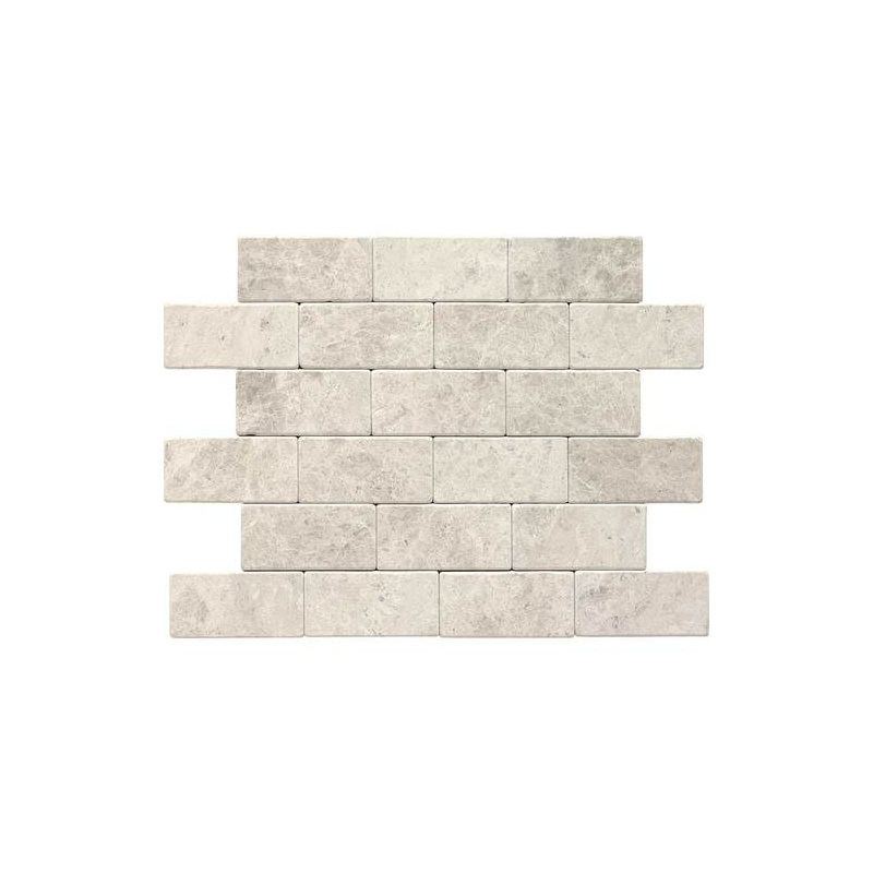 Martinique 6" x 3" Polished Natural Stone Field Tile in Arctic Gray