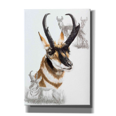 "Pronghorn" par Barbara Keith