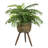 Antonella 30'' Faux Palm Plant in Wicker/Rattan Basket-515912828