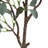 Eucalyptus Arrangement