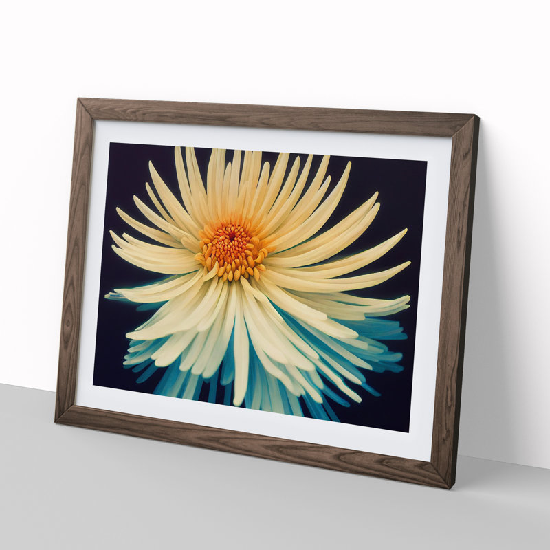 Intriguing Chrysanthemum Flower - Framed Print, 25cm H x 34cm W x 2cm D, Walnut