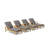 Brianna Outdoor Teak Wood Chaise Lounge Set