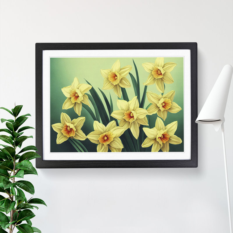 Pleasant Daffodil Flowers - Single Picture Frame Print, 46cm H x 64cm W x 2cm D, Black Framed