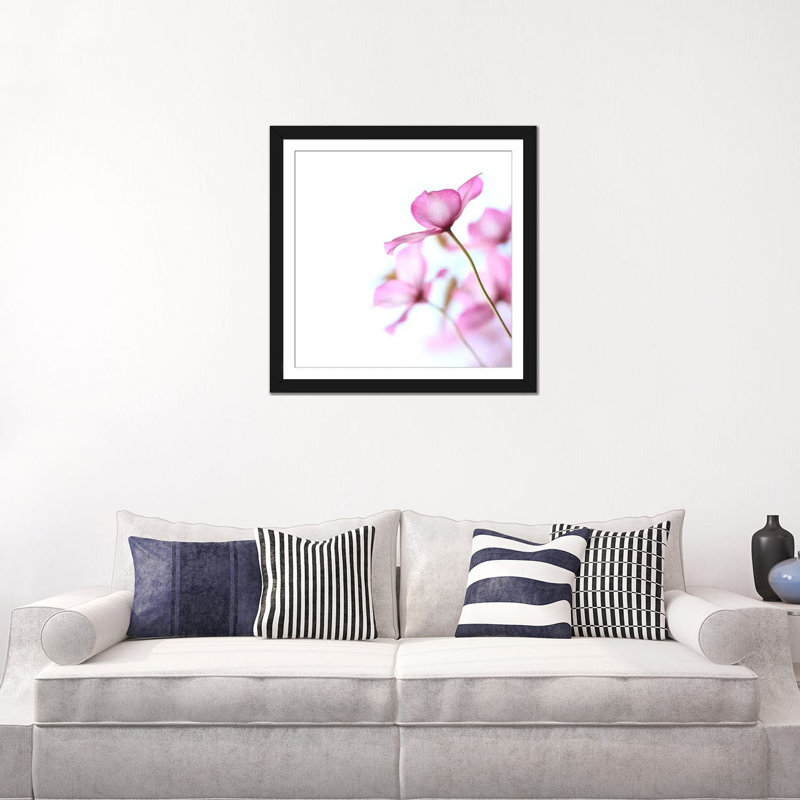 Clematis rose, impression sur toile, Papier beaux-arts encadré noir, H 16 po x l 16 po x P 1 po, Blanc