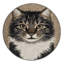  Tapis lavable American Wirehair Cats-684478371