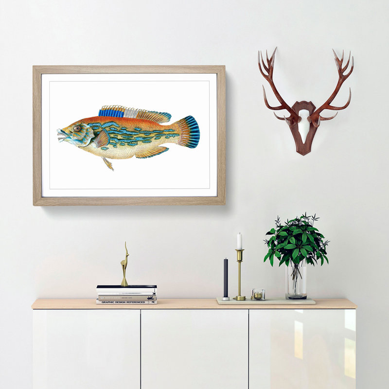 Striped Bass Fish by Edward Donovan - Picture Frame Art Print, 27cm H x 36cm W x 2cm D, Oak Framed