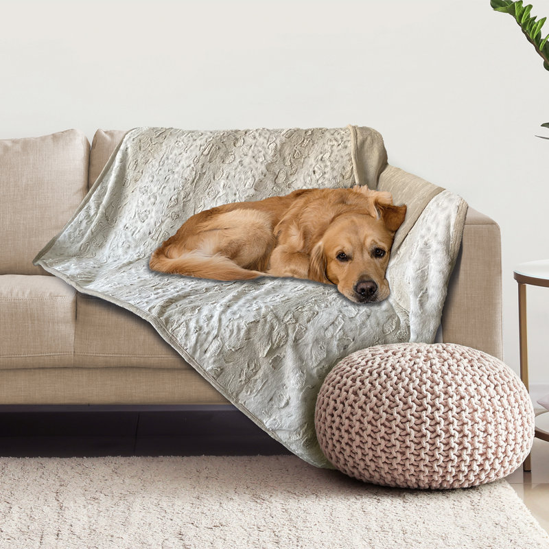Cream Faux Fur Reversible Waterproof Pet Blanket 60" x 70"
