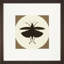 Insect Silhouette IV Print