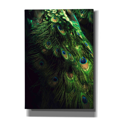 " Peacock Tail " by Incado