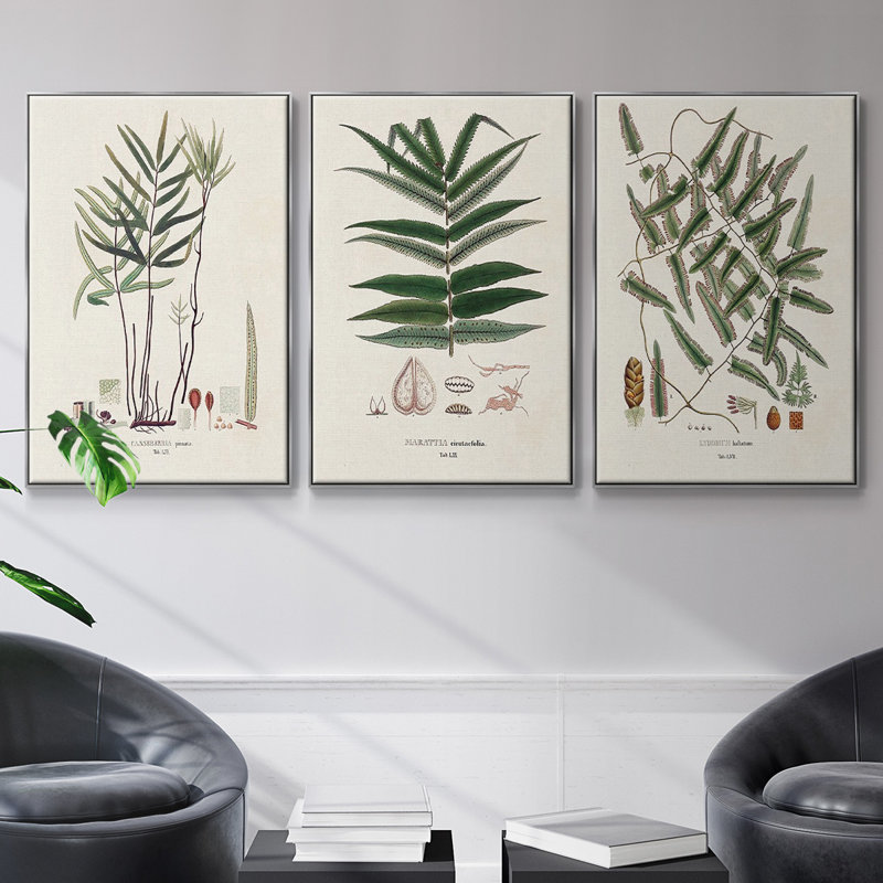Fougères de la Botanical Society X 3 pièces, H 40 po x l 90 po x P 2 po, Argent