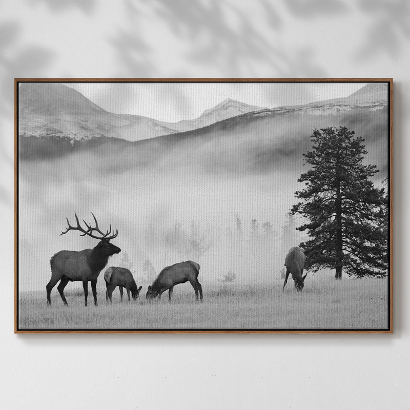 " Mountain Elk ", Walnut, 25" H x 37" W x 2" D