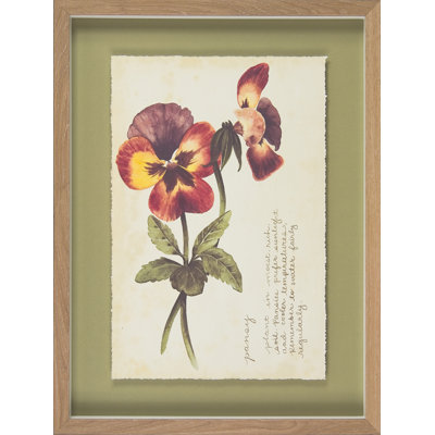 Garden Studies II - Single Picture Frame Rectangle Print on Canvas