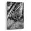 Art mural en verre Ebern Designs «Old Bicycle Wheel» par Rick Berk-1646510131