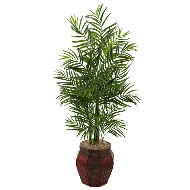 Areca Palm Tree in Weave Planter