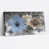 Wrapped Canvas