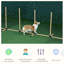 Ensemble d'obstacles pour chien
