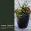 Jardinière en plastique Marazzi-194242657-197888332