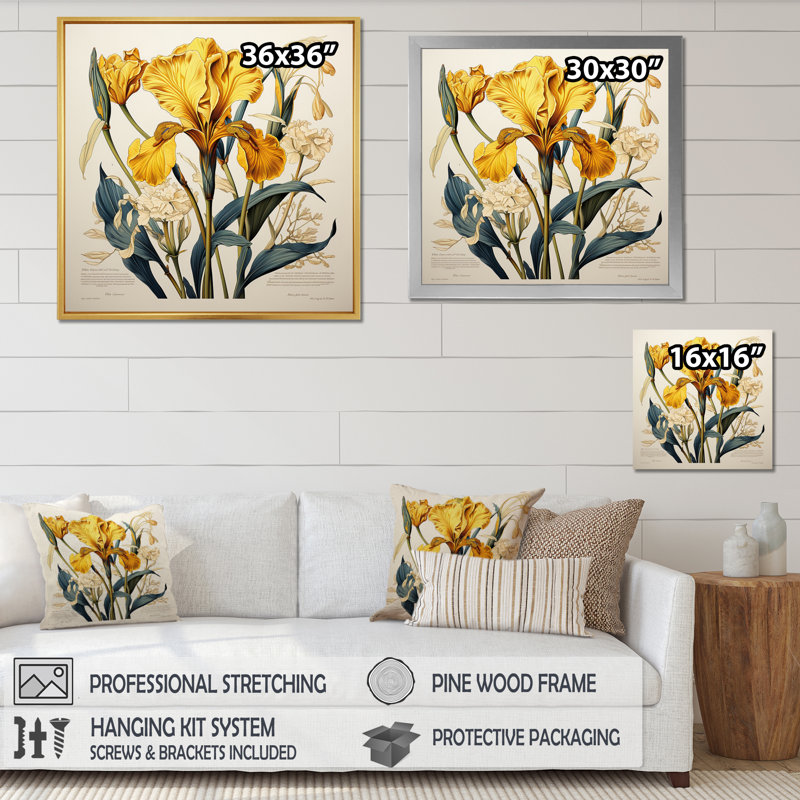 Iris jaune, illustration rétro, Cadre flottant blanc, H 36 po x l 36 po