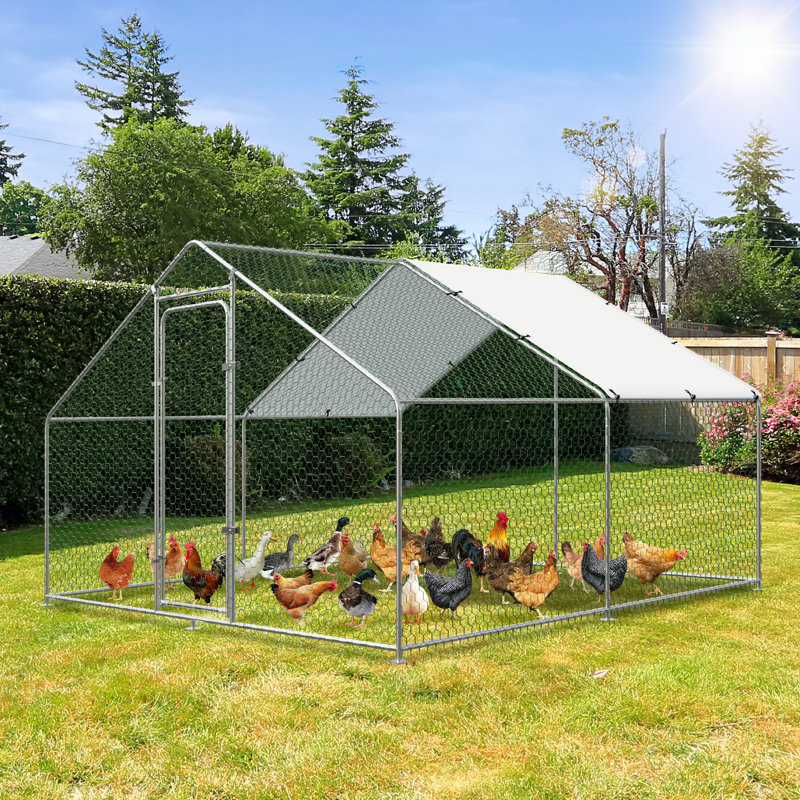 Denne Walk In Chicken Run, 78" H x 117" W x 117" D