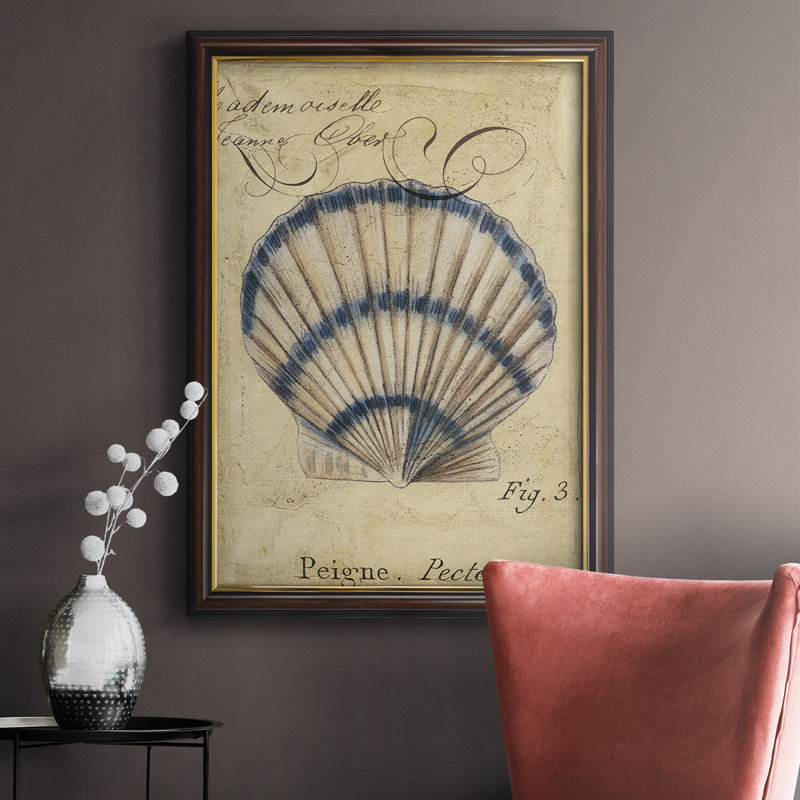 Seashell Ephemera III, toile encadrée de qualité supérieure - prête à être accrochée, H 20 po x l 16 po x H 2,5 po