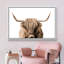 «Brown Highland Cow», reproduction d'art sur toile encadrée-349336061-394914583