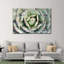 Agave rustique sur toile-702573797