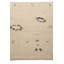 Tapis ivoire Nobles