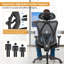 Cristinia Task Chair with Headrest