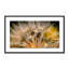 Float Away Print by Geoffrey Baris-48617804-48617811