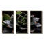 Black Blooming Cactus Photography - Floral Cactus Wall Art-286920796-286920803