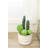 10.5'' Faux Succulent Plant in Ceramic Pot