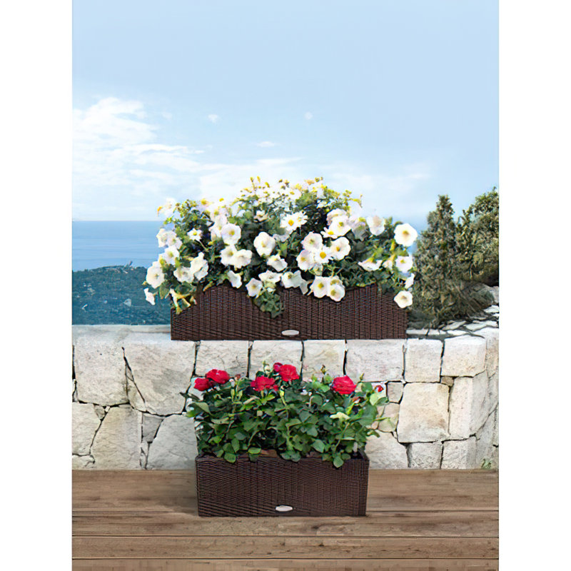 Balconera Window Box Planter, 19 cm H x 50 cm W x 19 cm D, Mocha