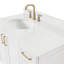 ARIEL Taylor 42.25 Single Sink Bathroom Vanity with Man-Made Stone Top-Oval-635474369-635474370-661486143