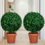 70 cm H Faux Boxwood Tree Plant