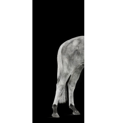 Twilight Cheval I by Austin Beiv - Graphic Art