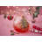 Spode Christmas Tree Glass Pitcher 6 Pt/9"