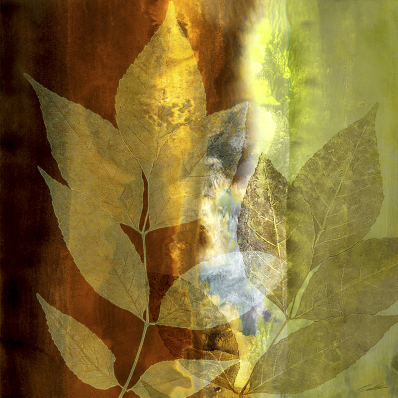Lush Sunlight by John Butler - Wrapped Canvas Art Prints, 30cm H x 30cm W