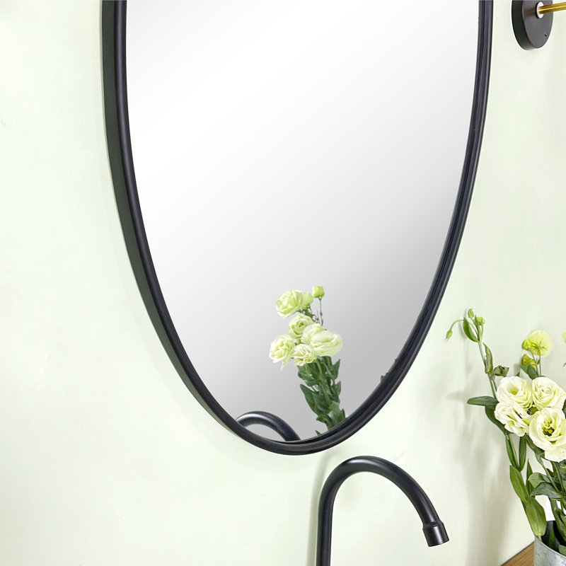 Luecinda Metal Framed Wall Mounted Bathroom / Vanity Mirror, Matte Black, 30" x 20"
