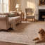 Tapis traditionnel à motif floral intégral gris crème ivoire beige rose, lavable à la machine, antidérapant, à poils courts, adapté à l'intérieur et à l'extérieur, idéal pour le salon, la chambre, la salle à manger, l'entrée, le corridor ou le bureau.-1155237255