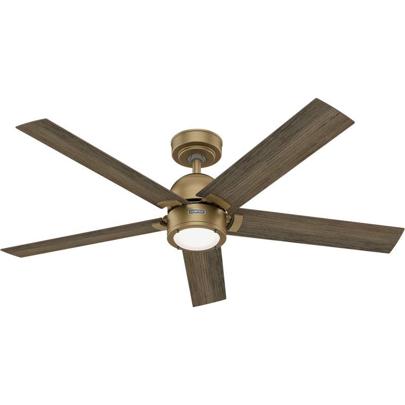 Hunter 52 Inch Erling ENERGY STAR® Ceiling Fan With Lights And Remote, Gray Wood, Matte Black