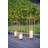 Set Of 3 Open Face Gold Candleholder Lanterns
