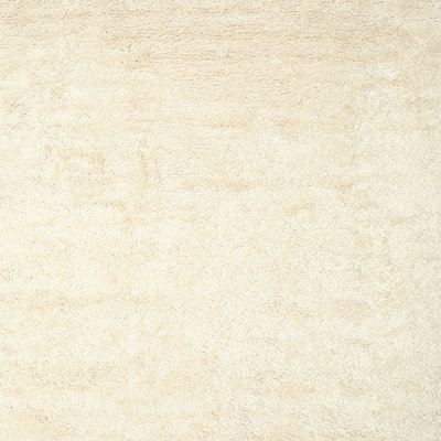 Wool Indoor Rug
