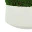 Mood Moss Arranged in Ceramic Pot