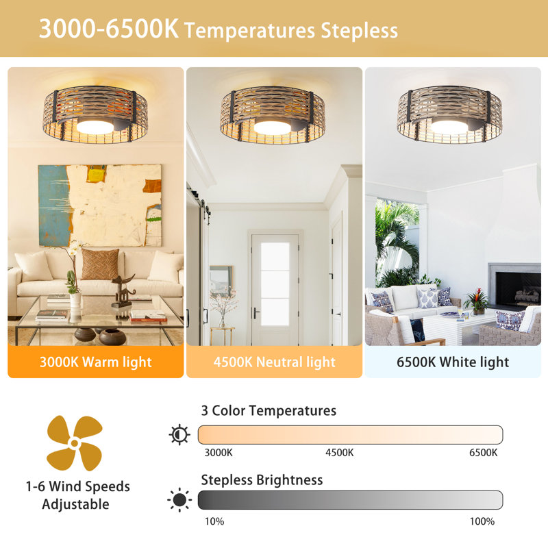 Aquila 20" Bamboo Rattan Farmhouse Caged LED Dimmable RGB Ceiling Fan With Light And Remote Control, Natural Wood