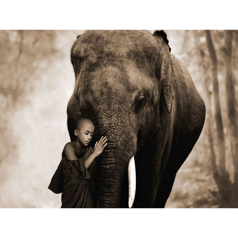 Healing Embrace by Marc Moreau - Wrapped Canvas Print, 60cm H x 80cm W